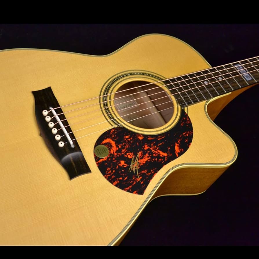 Amazon | Maton EBG808CTE 17838 1HI エレアコギター メイトン